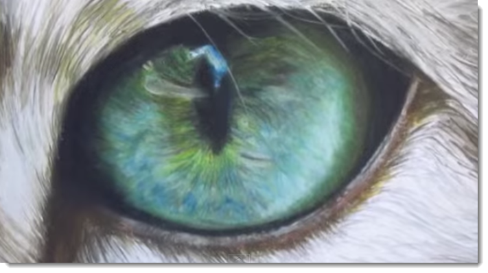 Cat eye artwork