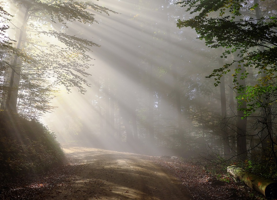 Transitioning through the fog