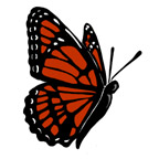 Sarah's Tent logo of a butterfly