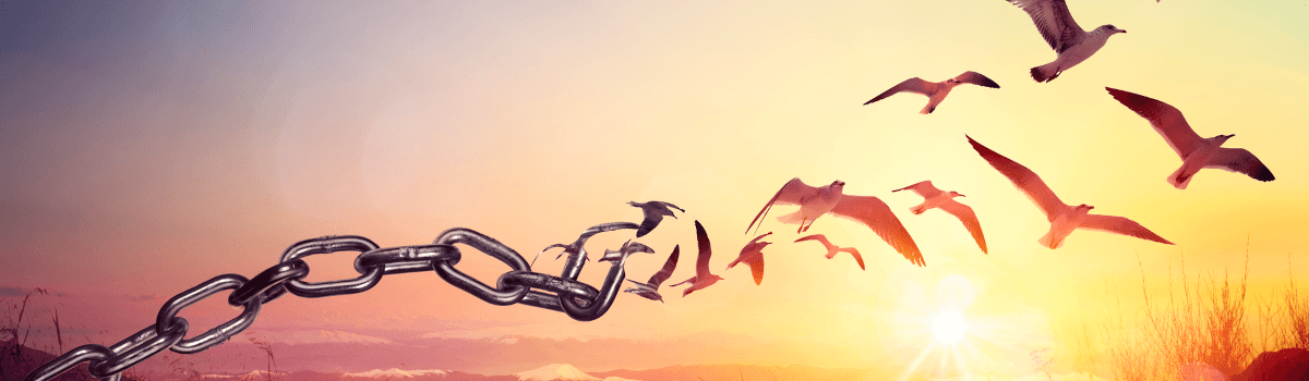 Manipulated photograph of chains with a sunrise in the background, which are being flipped. The links in the chains are being broken and turning into birds flying free.