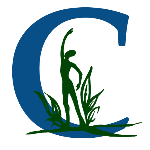 Logo of CompletedPeople, LLC, a large blue C contains a green colored graphic of a person reaching up wards with plant leaves at their feet.